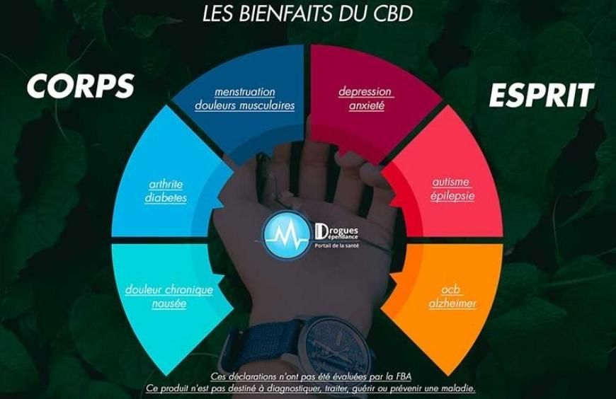 Quels sont les bienfaits et vertus potentielles de l'huile de CBD ...