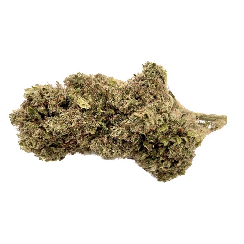 Mobydick, Fleurs de CBD indoor | BIO & Franais  Saveurs-cbd.fr