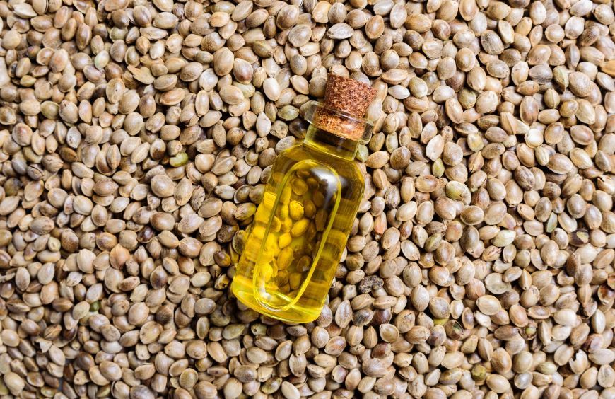 Huile de graines de chanvre : Quelles propriétés ?