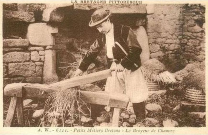 La France et le Chanvre : un destin étroitement lié