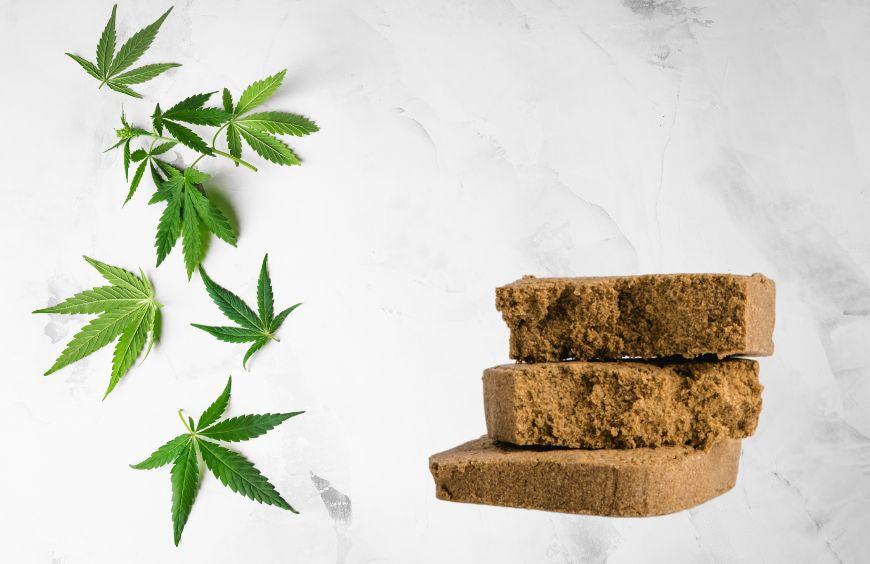 Quelle est la résine de CBD la plus forte ?