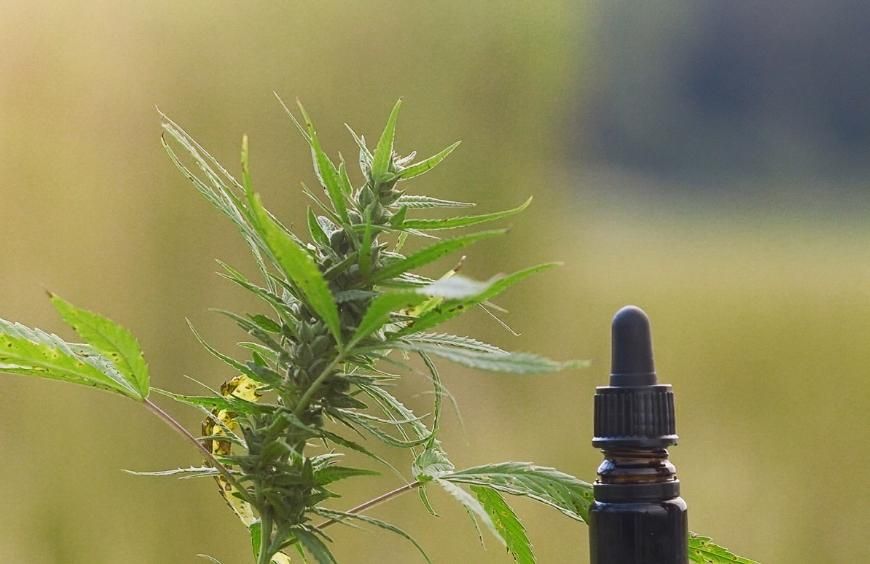 CBD : Les bienfaits pour la santé