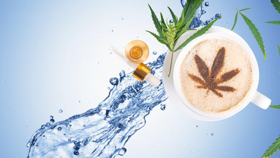 cbd hydrosoluble