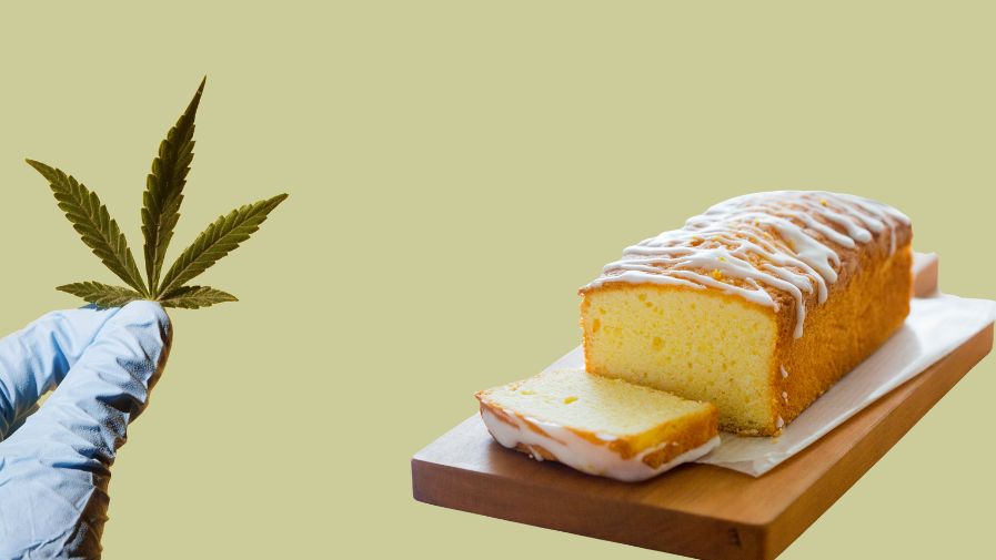 space cake au cbd