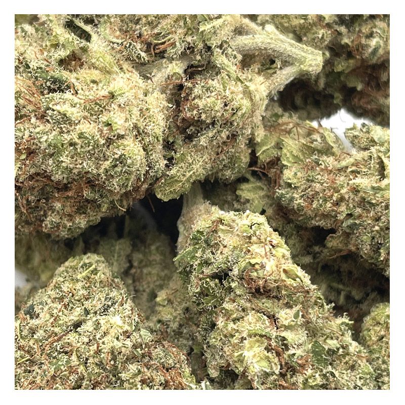 Mobydick, Fleurs de CBD indoor | BIO & Franais Saveurs-cbd.fr Mobydick, Fleurs de CBD indoor | BIO & Franais Saveurs-cbd.fr