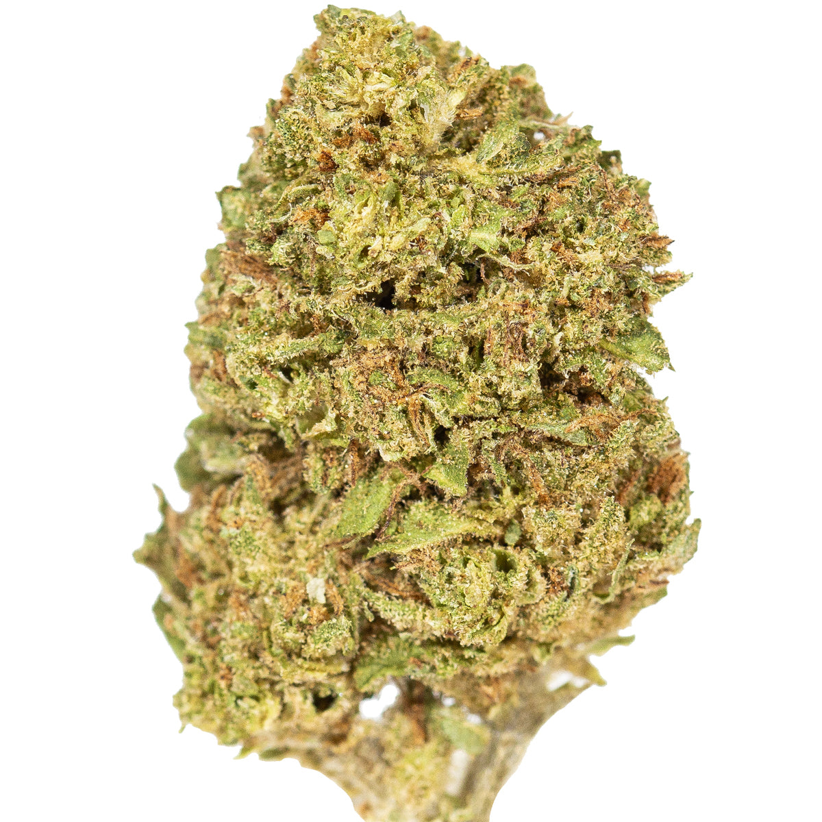 California Haze - Glasshouse