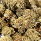 Small Bud Amnésia Glasshouse