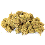 Small Bud Gelato Indoor