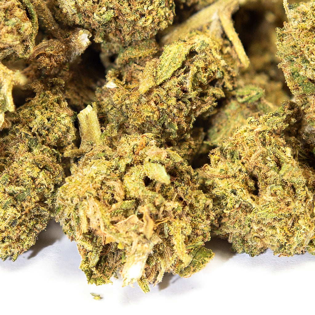 Small Bud Gelato Indoor