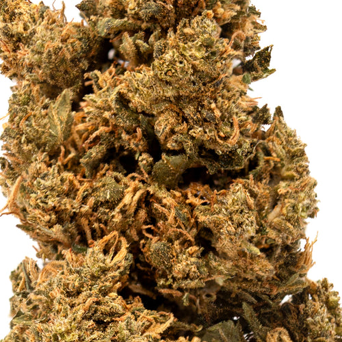 Amnesia