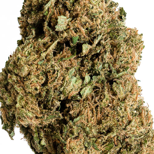 Harlequin Hydro