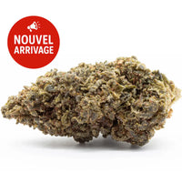 Amnesia Boost 36%