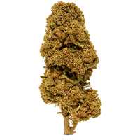 Super Skunk Greenhouse