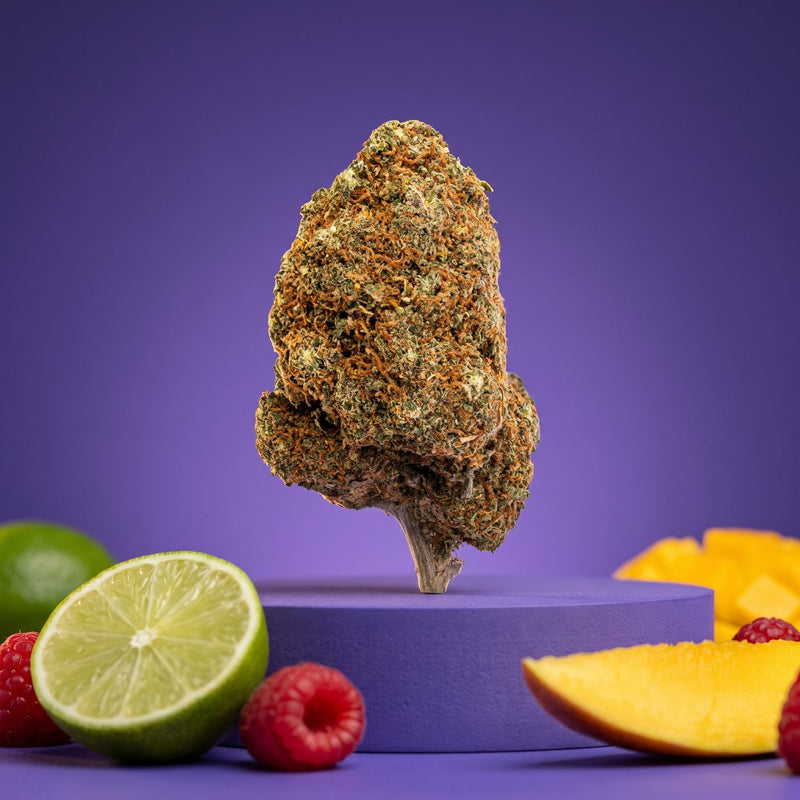Fleur de CBD Skittles California entourée de citron vert, framboises et mangue