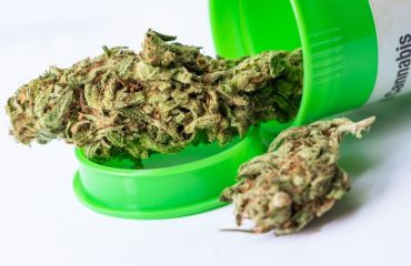 Cannabis médical et CBD