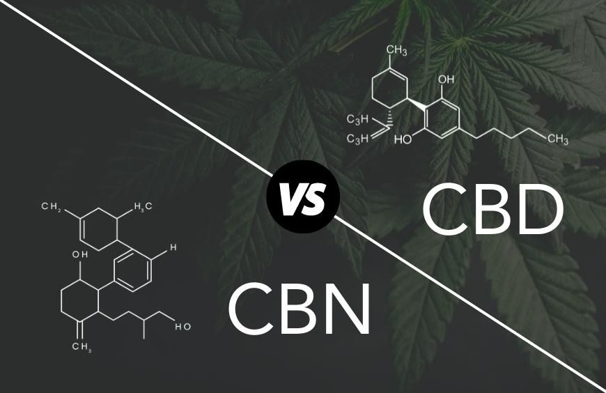 Quelles sont les différences entre le CBN et le CBD ?