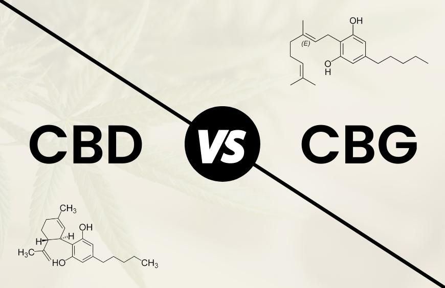 Quelles sont les différences entre le CBD et le CBG ?